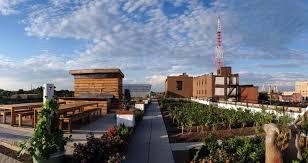 Urban Farming is no Longer a Trend for the Coasts | Putting On